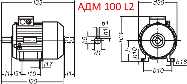 Основные размеры  АДМ 100 L2