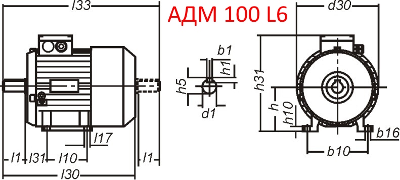 Основные размеры  АДМ 100 L6