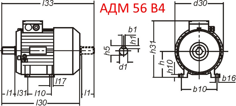 Основные размеры  АДМ 56 B4