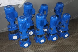 dsc_2490-promkz-cat-800