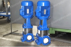 dsc_2953-promkz-nvs-120-cat_405288686