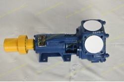 dsc_5030-promkz-vk-cat