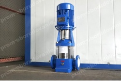 dsc_7070-promkz-nvs-150-cat_575123206