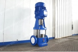 dsc_7085-promkz-nvs-85-cat_2097556674