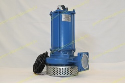 Фотография насоса ГНОМ 53-10