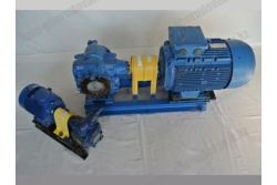 shesterjonnye-nasosy-sh-nmsh