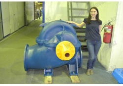 Насос 1Д1600-90 (1000) Болгария