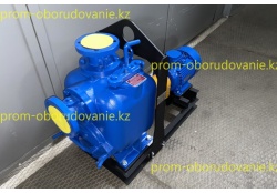 Фото самовсасывающего насоса НС2 100/255.255-3/6-400