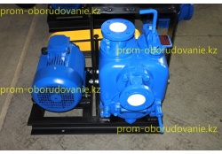 Фотография самовсасывающего насоса НС2 50/175.175-7,5/2-600(1)