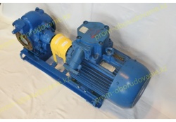 shesterjonnyj-nasos-sh80-2-5-37-5-2-5-b-10