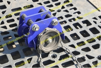 Фотография кошки для тали 1т-6м