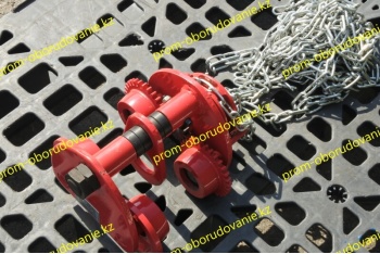 Фотография кошки для тали 2.0т-12м