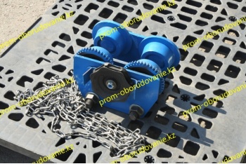 Фотография кошки для тали 3т-12м