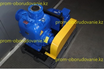 Фото самовсасывающего насоса НС2 100/255.255-30/2-600(1)