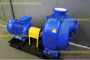 Фото самовсасывающего насоса НС2 250/375.375-30/6-400