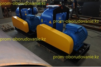 Фото самовсасывающего насоса НС2 250/375.375-55/4-600