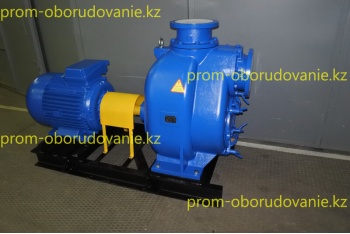 Фото самовсасывающего насоса НС2 300/457.457-22/8-400