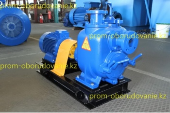 Фото самовсасывающего насоса НС2 50/175.175-11/2-400